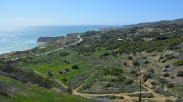 Rancho Palos Verdes Car Insurance - California